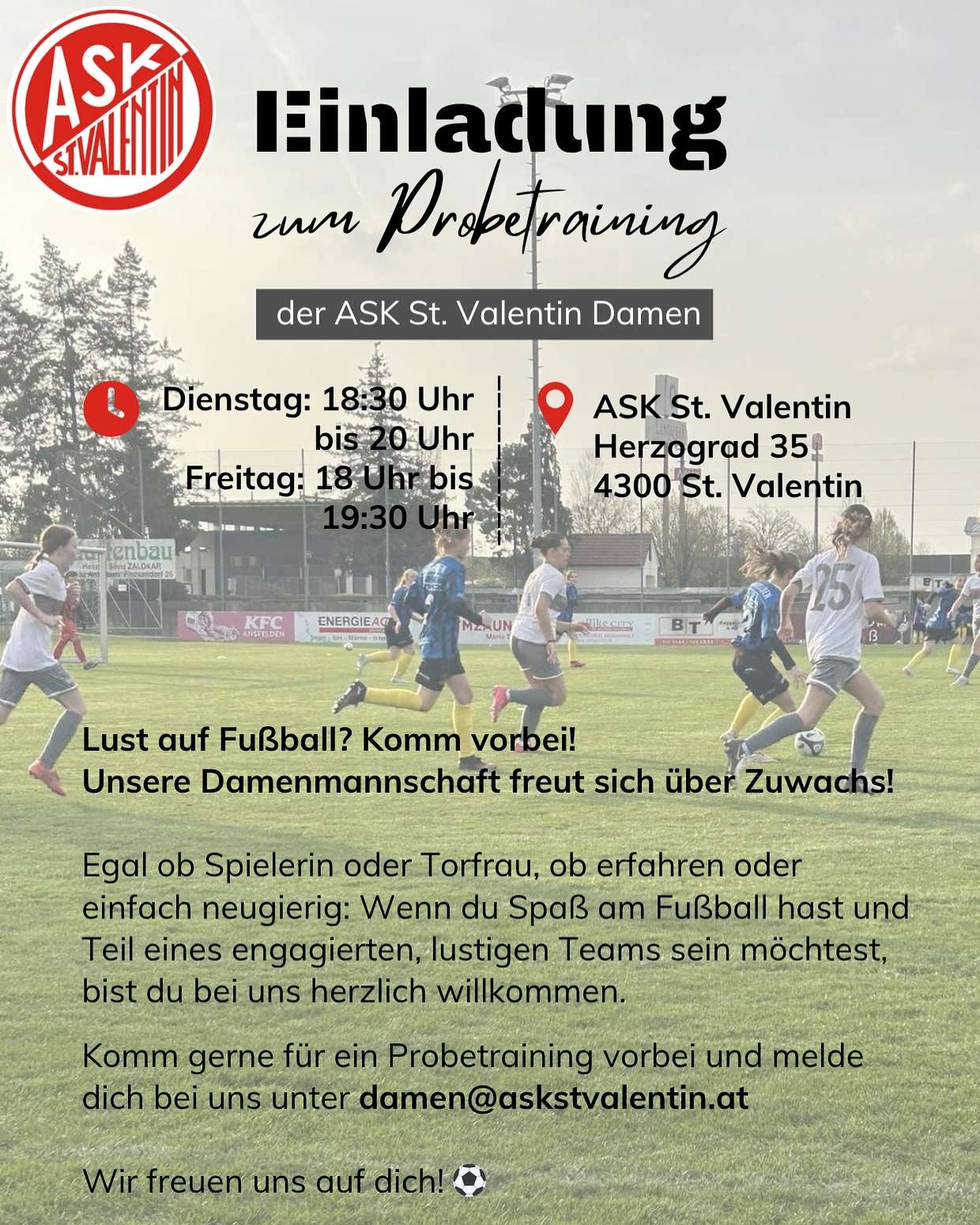 probetraining ask damen