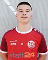 avdic denis